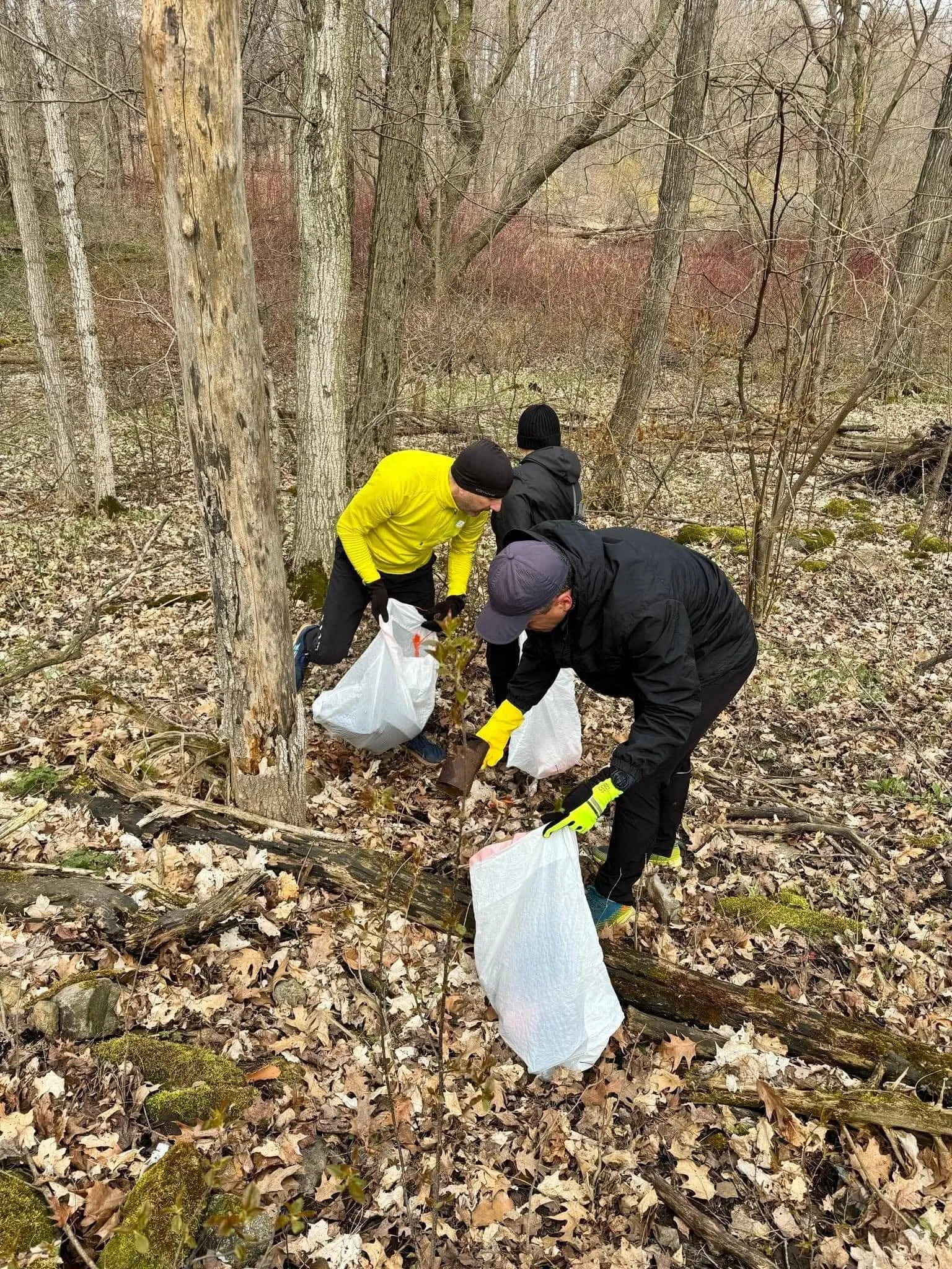 Volunteers in bright jackets collecting litter into bags among the bare spring woods.
